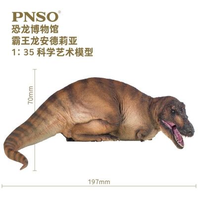 PNSO恐龙博物馆1比35科学艺术模型 霸王龙安德莉亚