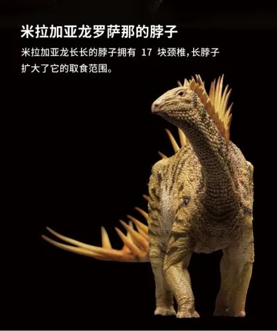 PNSO恐龙大王  成长陪伴模型39 米拉加亚龙 罗萨那