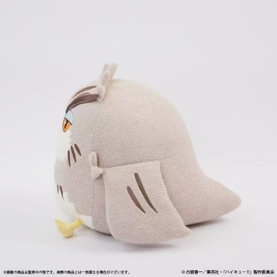 排球少年!! Palude联名 木兔光太郎猫头鹰毛绒抱枕