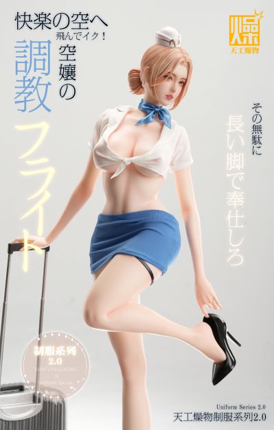 制服系列2.0 空姐