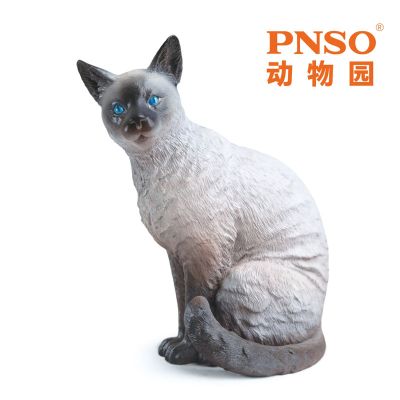 PNSO动物园成长陪伴模型13 暹罗猫萨利亚