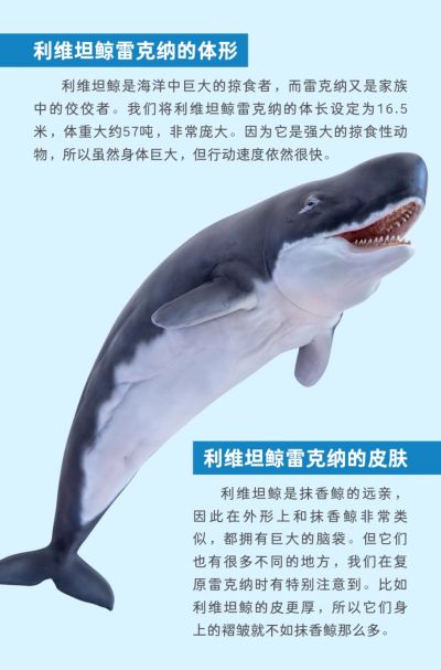 PNSO恐龙大王成长陪伴模型56 利维坦鲸雷克纳