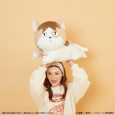 排球少年!! Palude联名 孤爪研磨猫咪毛绒抱枕