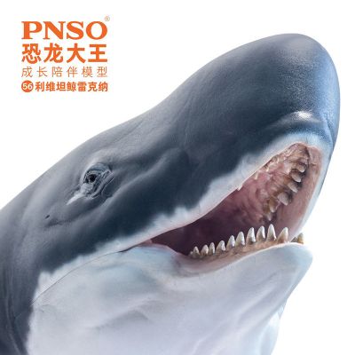 PNSO恐龙大王成长陪伴模型56 利维坦鲸雷克纳