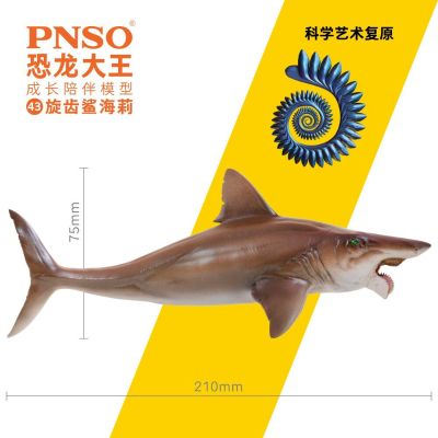 PNSO恐龙大王  成长陪伴模型43 旋齿鲨海莉