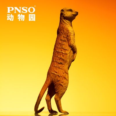 PNSO动物园成长陪伴模型12 猫鼬朵朵