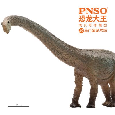 PNSO恐龙大王成长陪伴模型20 马门溪龙尔玛