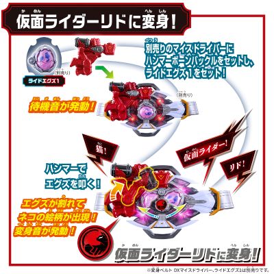 DX碎骨带扣