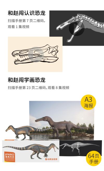PNSO恐龙大王 成长陪伴模型67 似鳄龙塔博