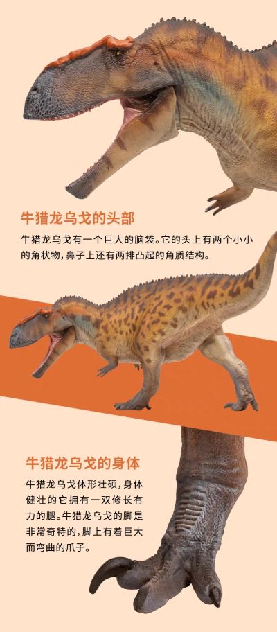 成长陪伴模型96  牛猎龙乌戈