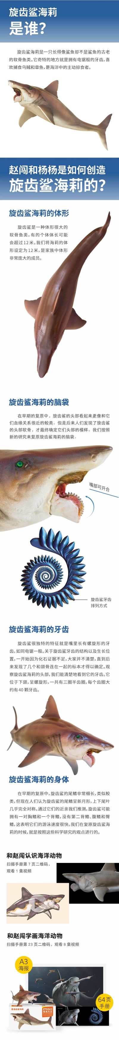 PNSO恐龙大王  成长陪伴模型43 旋齿鲨海莉