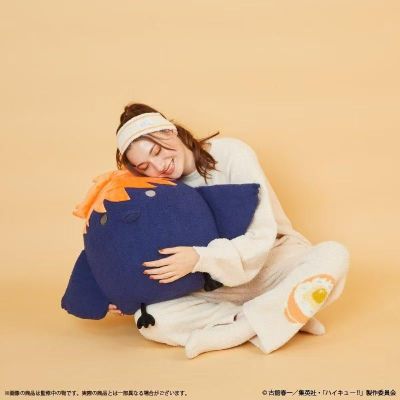 排球少年!! Palude联名 日向翔阳乌鸦毛绒抱枕