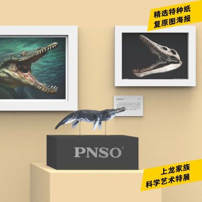 PNSO海洋博物馆1比35科学艺术模型 克柔龙杰夫