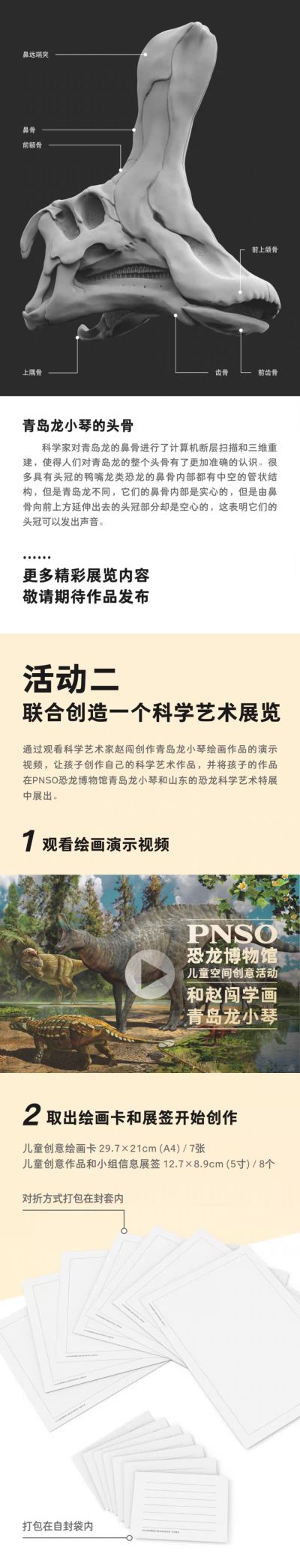 PNSO恐龙博物馆1:35科学艺术模型 青岛龙小琴​