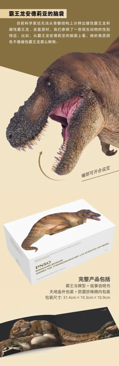 PNSO恐龙博物馆1比35科学艺术模型 霸王龙安德莉亚