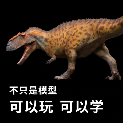 成长陪伴模型96  牛猎龙乌戈