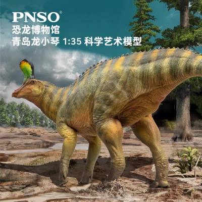PNSO恐龙博物馆1:35科学艺术模型 青岛龙小琴​