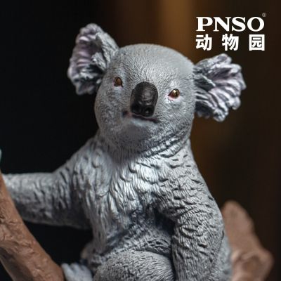 PNSO动物园成长陪伴模型10 考拉安妮