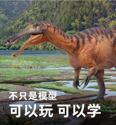 PNSO恐龙大王 成长陪伴模型66 中国上龙崇左