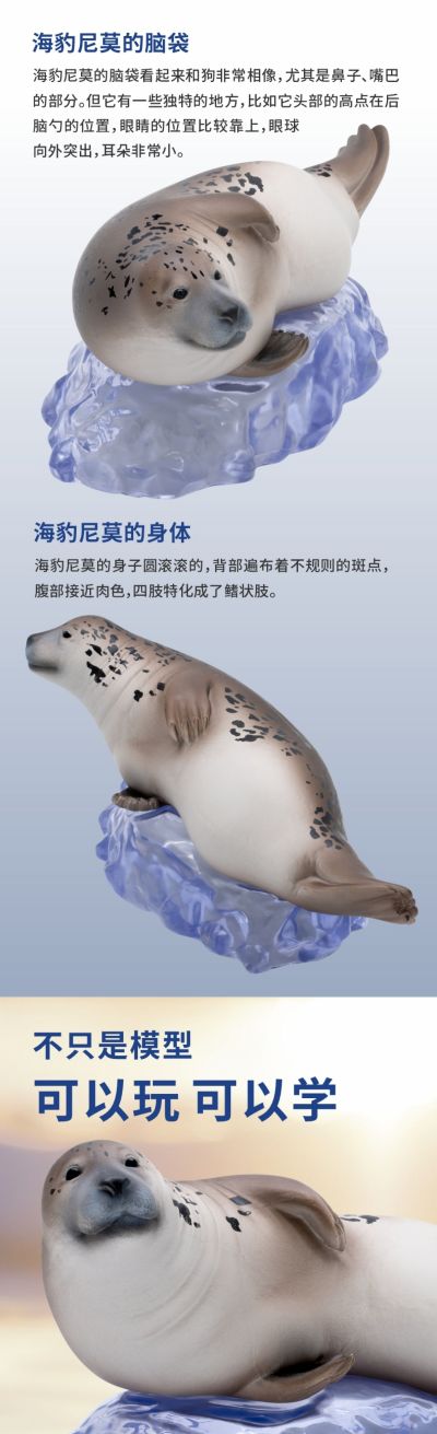 PNSO动物园成长陪伴模型14 海豹尼莫