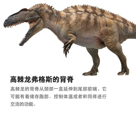 PNSO恐龙大王 成长陪伴模型61 高棘龙弗格斯