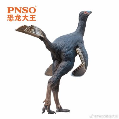 成长陪伴模型93  尾羽龙俊朗