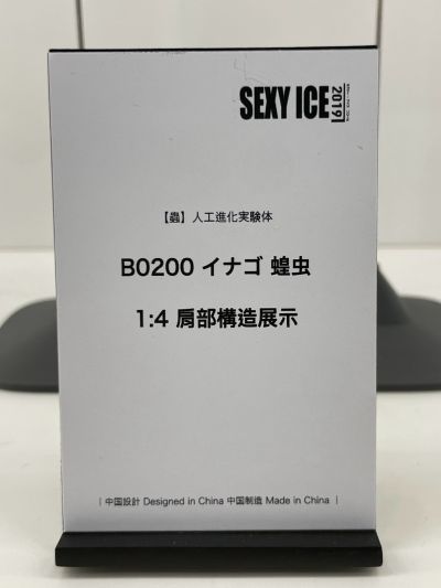 虫 人工进化实验体 B0200 蝗虫 肩部构造