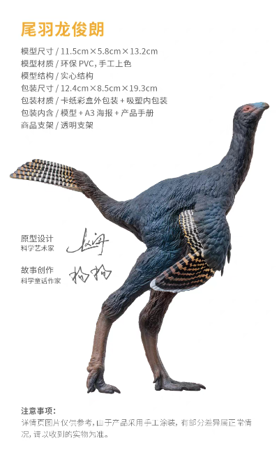 成长陪伴模型93  尾羽龙俊朗