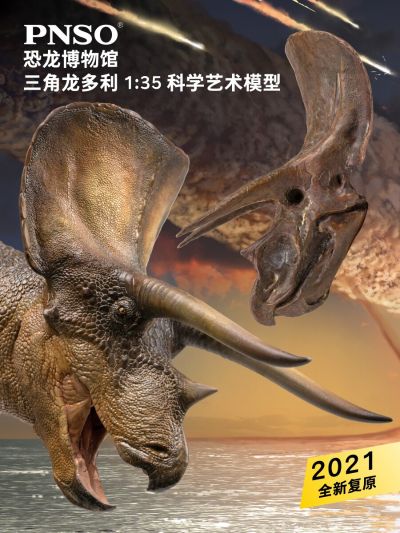 PNSO恐龙博物馆1：35科学艺术模型 新版三角龙多利附三角龙头骨