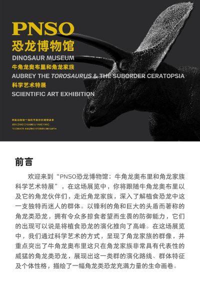 PNSO恐龙博物馆1:35科学艺术模型 牛角龙奥布里和大贝