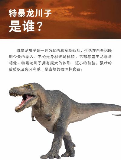 PNSO恐龙大王成长陪伴模型51 特暴龙川子