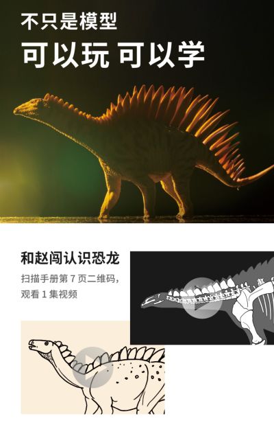 PNSO恐龙大王  成长陪伴模型39 米拉加亚龙 罗萨那
