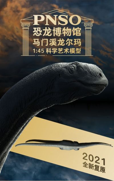 PNSO恐龙博物馆1：45科学艺术模型 马门溪龙尔玛