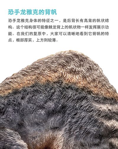 PNSO恐龙大王 成长陪伴模型64 恐手龙雅克