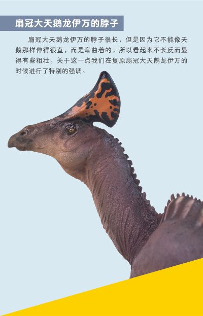 PNSO恐龙大王成长陪伴模型53 扇冠大天鹅龙伊万