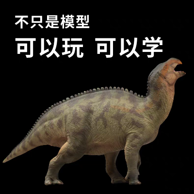 成长陪伴模型97  兰州龙兰奇