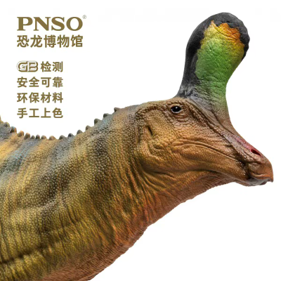 PNSO恐龙博物馆1:35科学艺术模型 青岛龙小琴​