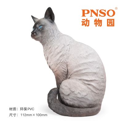 PNSO动物园成长陪伴模型13 暹罗猫萨利亚