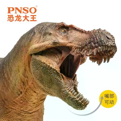 PNSO恐龙大王 成长陪伴模型58 诸城暴龙鲁雄
