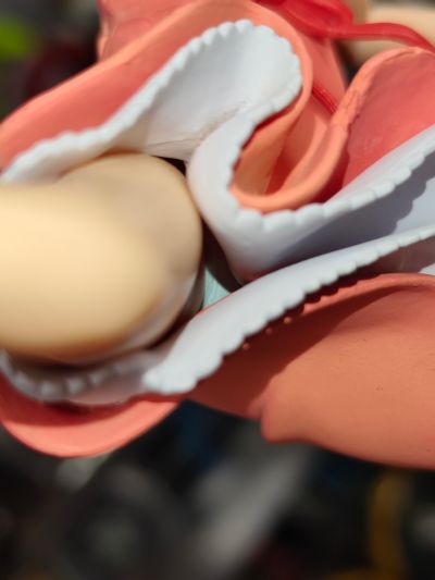 化物語 Extra Figure Vol.2 忍野忍
