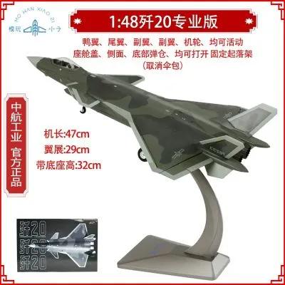 1/48 歼-20战斗机；普通版