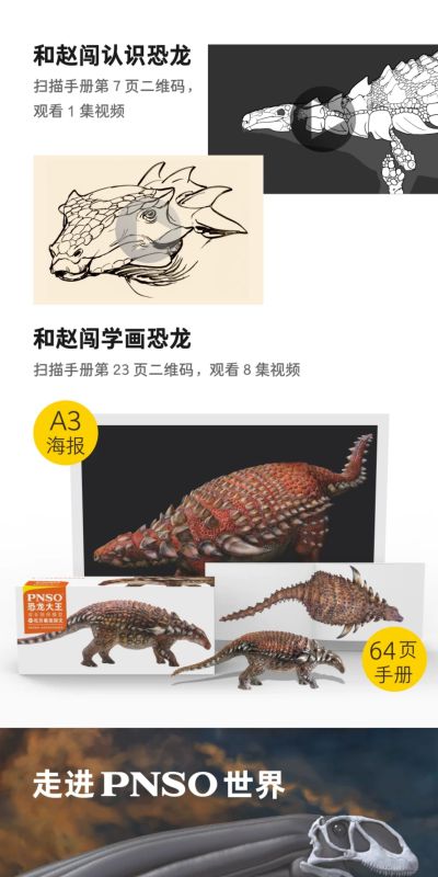 PNSO恐龙大王  成长陪伴模型31 北方盾龙加文