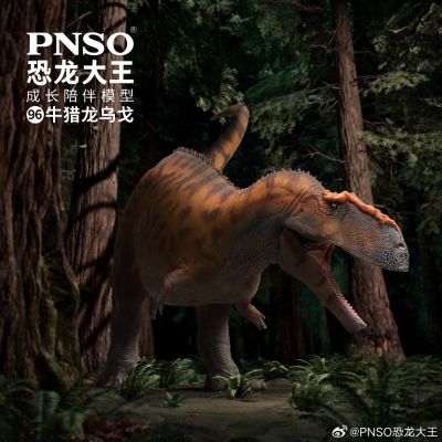成长陪伴模型96  牛猎龙乌戈