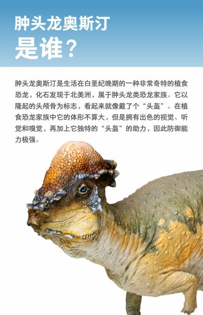 PNSO恐龙大王  成长陪伴模型46 肿头龙奥斯汀