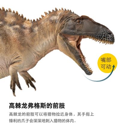 PNSO恐龙大王 成长陪伴模型61 高棘龙弗格斯