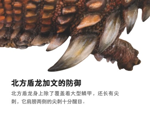 PNSO恐龙大王  成长陪伴模型31 北方盾龙加文