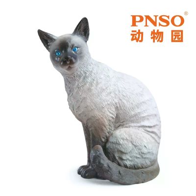 PNSO动物园成长陪伴模型13 暹罗猫萨利亚