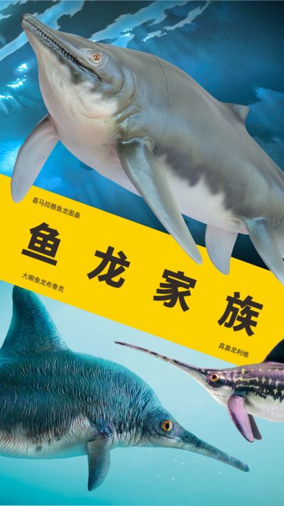 PNSO恐龙大王-成长陪伴系列55 喜马拉雅鱼龙图桑