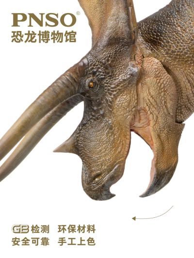 PNSO恐龙博物馆1：35科学艺术模型 新版三角龙多利附三角龙头骨