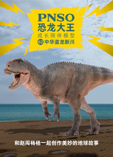 PNSO恐龙大王 成长陪伴模型62 中华盗龙新川